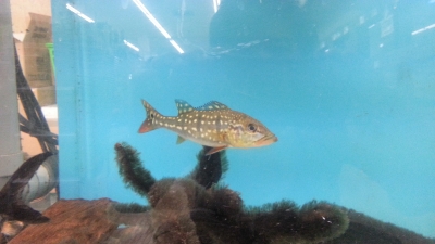 20130623_112357.jpg