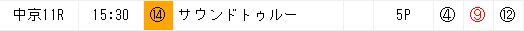 12月3日の中京11Rの推奨穴馬9番１着