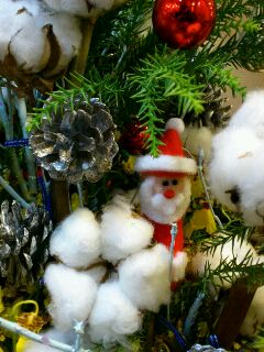 rps20111224_121607_353.jpg