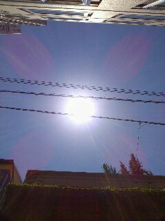 rps20120816_121917_636.jpg
