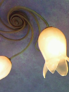 090324_1437~0002.jpg