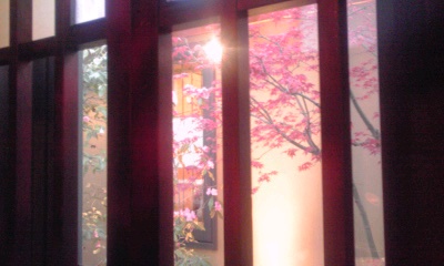 120408_1823~01.jpg