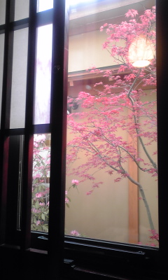 120408_1710~01.jpg