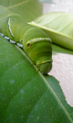 120717_1708~01.jpg