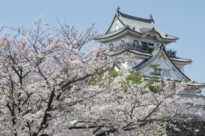 ブログ 岸和田城.jpg