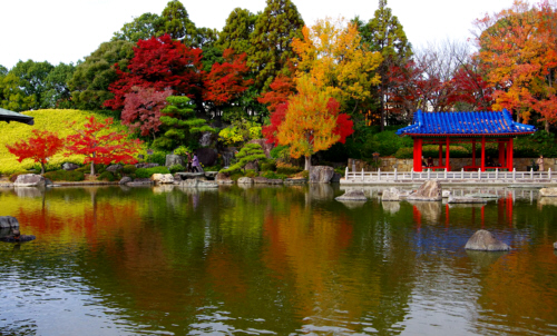 ブログ用 大仙公園.jpg