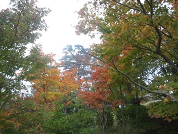 111103_112528.jpg
