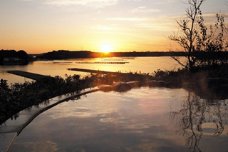 3578_4.jpg