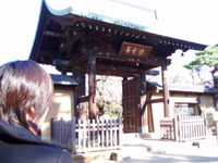 豪徳寺