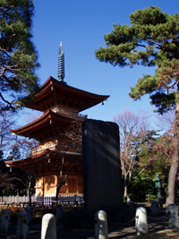 豪徳寺