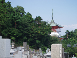 墓参り