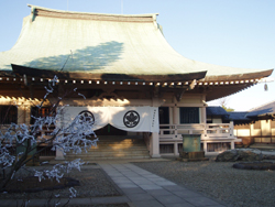 豪徳寺