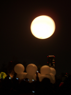 art-night