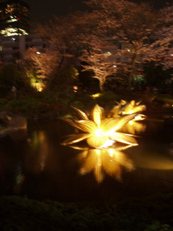 art-night