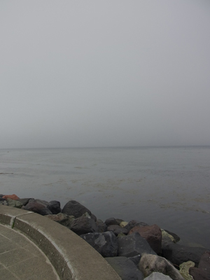 20100621_003.jpg