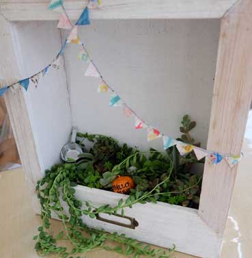 多肉植物の額縁ガーデンを作ろう!!