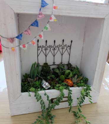 多肉植物の額縁ガーデンを作ろう!!