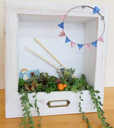 多肉植物の額縁ガーデンを作ろう!!