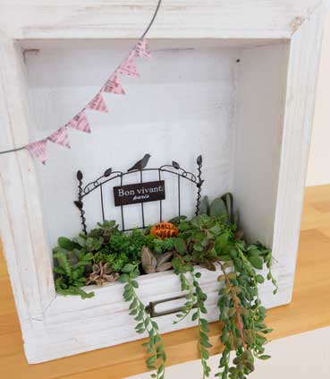 多肉植物の額縁ガーデンを作ろう!!