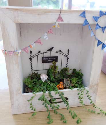 多肉植物の額縁ガーデンを作ろう!!