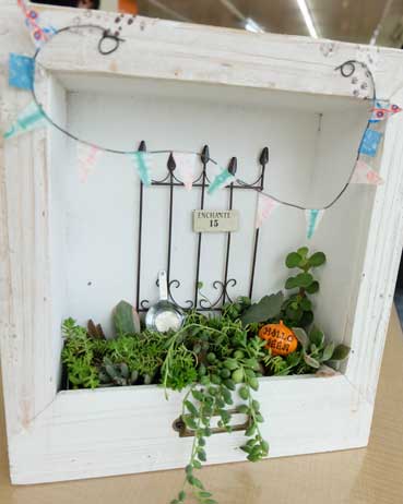 多肉植物の額縁ガーデンを作ろう!!