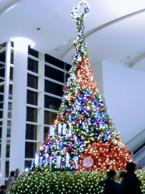 IMG_20171224_233613-EFFECTS.jpg
