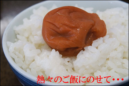 ご飯に紀州南高梅