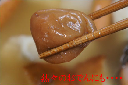 おでんに紀州南高梅