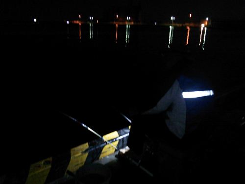 松阪港でアジの夜釣りでサビキ釣り 津ミルクネット情報通販