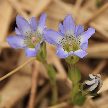 2010-06-27.3.jpg