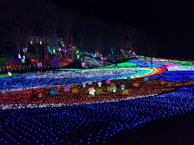 s-¼Ì¿¿ 2016-01-02 17 42 51.jpg