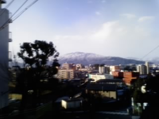 画像0317.jpg