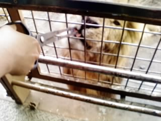 画像0029.jpg