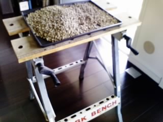 画像0097.jpg