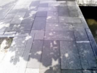 画像0055.jpg