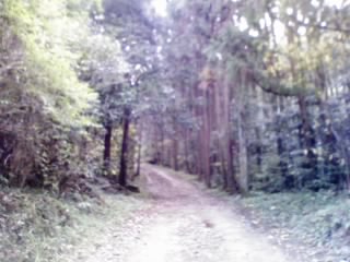 画像0142.jpg