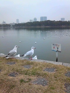 100111_1147121.jpg