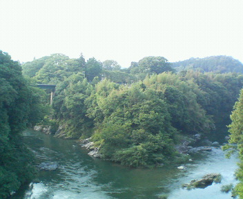 P1001642.jpg