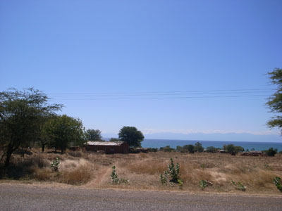 R0110616.JPG