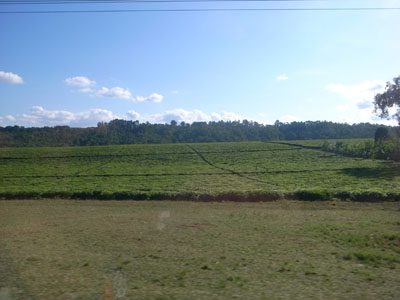 R0110635.JPG