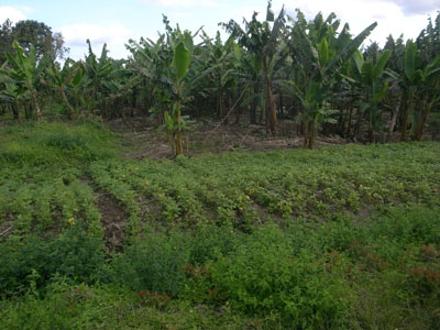 R0110638.JPG