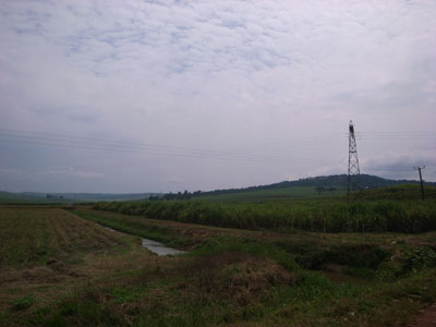 R0111256.JPG