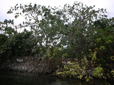 R0111306.JPG