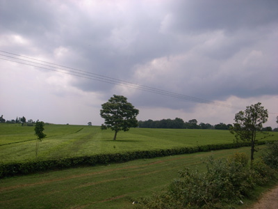 R0111350.JPG