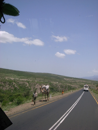 R0111458.JPG
