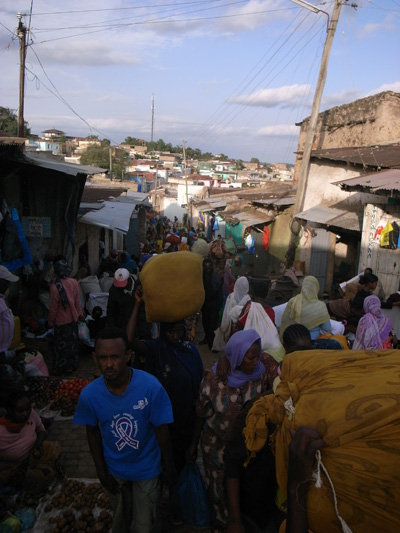 R0111482.JPG