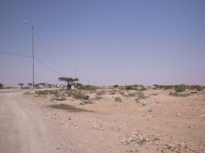 R0111578neo.jpg