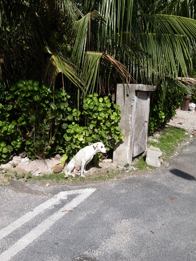 R0010213.JPG