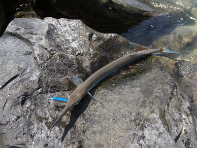 R0012215.JPG