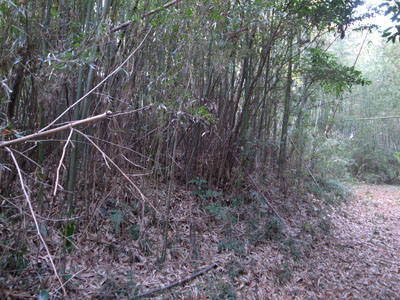 R0012703.JPG